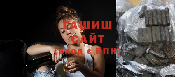 индика Кулебаки