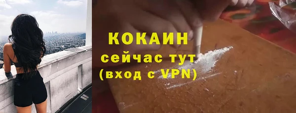индика Кулебаки