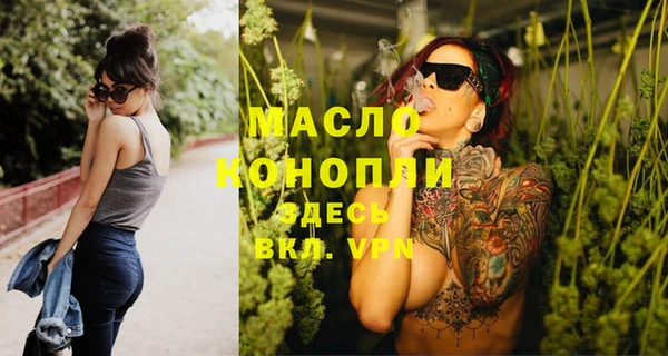 индика Кулебаки