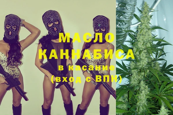 индика Кулебаки