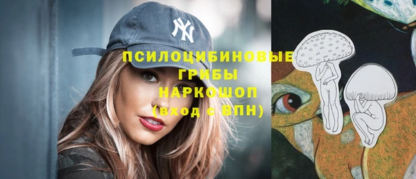индика Кулебаки