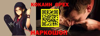 дмт Аргун