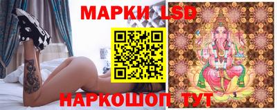 дмт Аргун