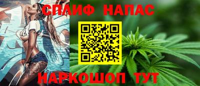 дмт Аргун