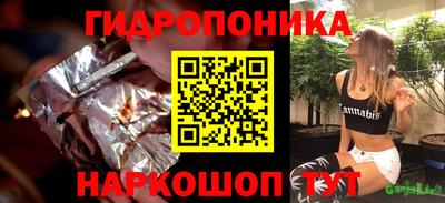 дмт Аргун