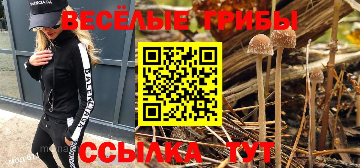 Старая Русса  Галлюциногенные грибы прущие грибы  Вход с VPN 